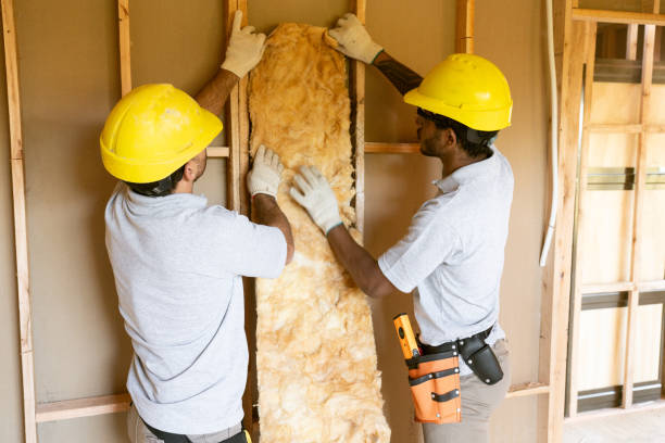 Best Home Insulation Services  in Wolf Point, MT