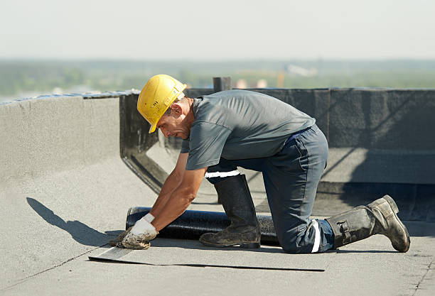 Best Affordable Insulation Services  in Wolf Point, MT